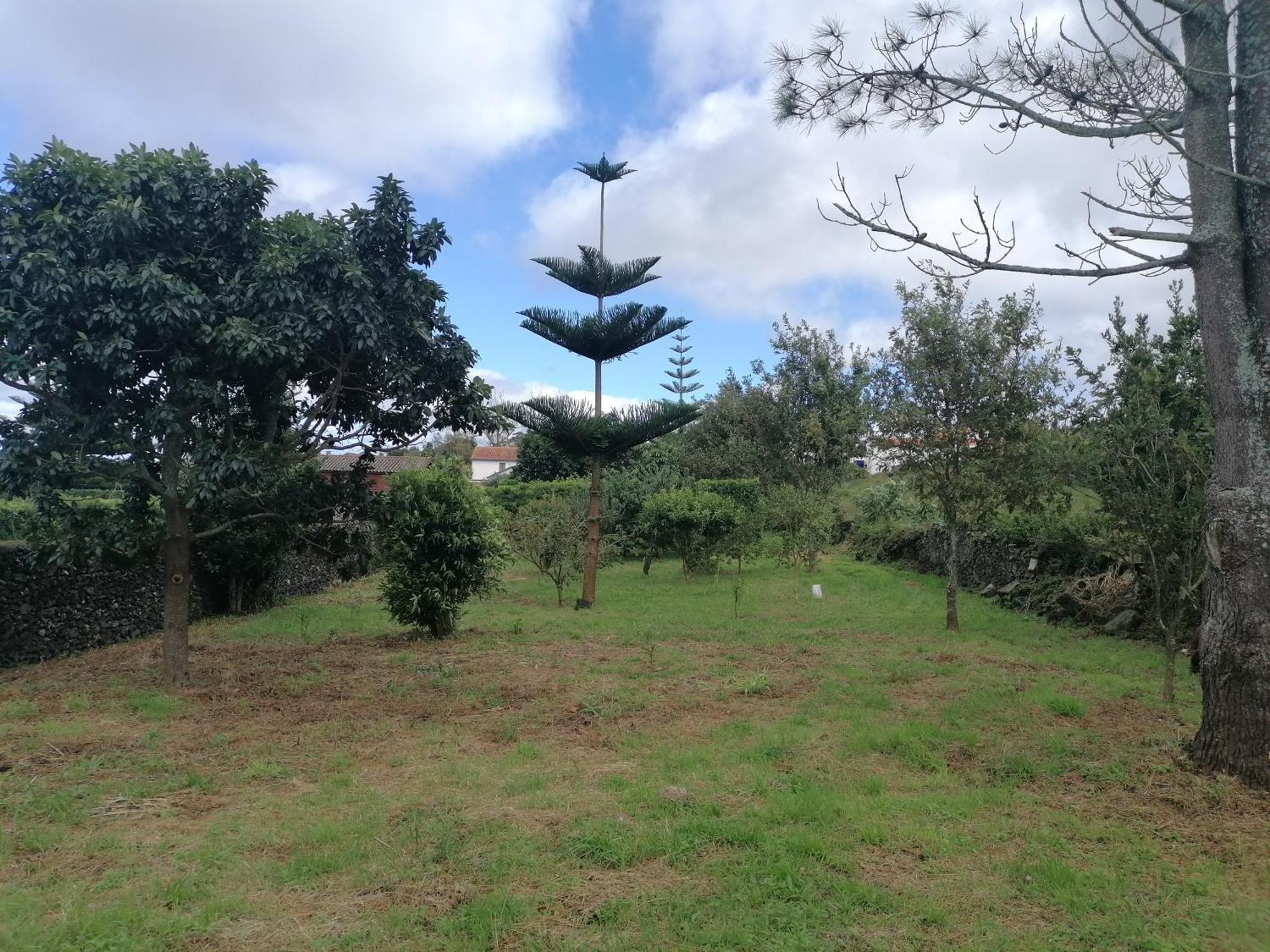 Espaco Roteiro De Mimos São Vicente Ferreira 외부 사진